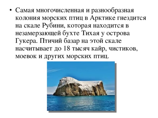 Самая многочисленная и разнообразная колония морских птиц в Арктике гнездится на скале Рубини, которая находится в незамерзающей бухте Тихая у острова Гукера. Птичий базар на этой скале насчитывает до 18 тысяч кайр, чистиков, моевок и других морских птиц. 