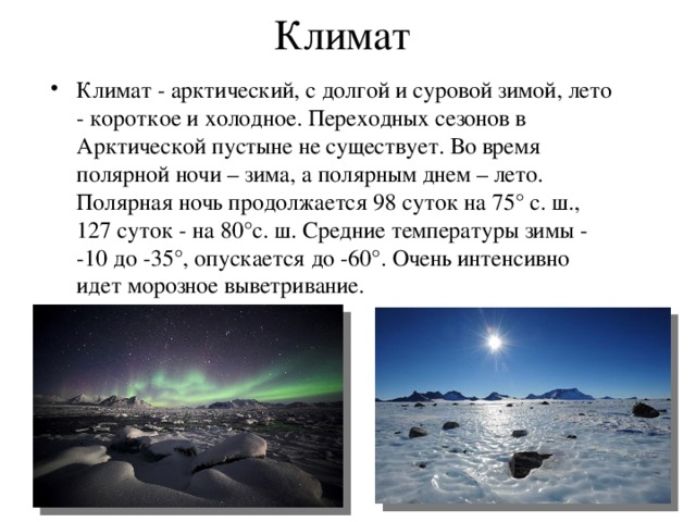 Климат Климат - арктический, с долгой и суровой зимой, лето - короткое и холодное. Переходных сезонов в Арктической пустыне не существует. Во время полярной ночи – зима, а полярным днем – лето. Полярная ночь продолжается 98 суток на 75° с. ш., 127 суток - на 80°с. ш. Средние температуры зимы - -10 до -35°, опускается до -60°. Очень интенсивно идет морозное выветривание.  