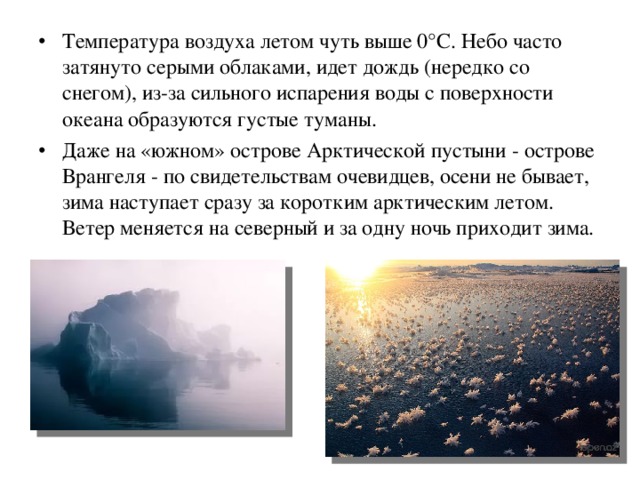 Температура воздуха летом чуть выше 0°С. Небо часто затянуто серыми облаками, идет дождь (нередко со снегом), из-за сильного испарения воды с поверхности океана образуются густые туманы. Даже на «южном» острове Арктической пустыни - острове Врангеля - по свидетельствам очевидцев, осени не бывает, зима наступает сразу за коротким арктическим летом. Ветер меняется на северный и за одну ночь приходит зима.  