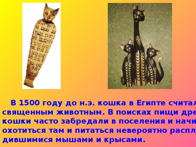 Кошки в древнем египте