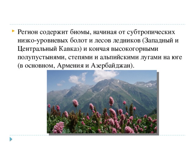 Регион содержит биомы, начиная от субтропических низко-уровневых болот и лесов ледников (Западный и Центральный Кавказ) и кончая высокогорными полупустынями, степями и альпийскими лугами на юге (в основном, Армения и Азербайджан). 