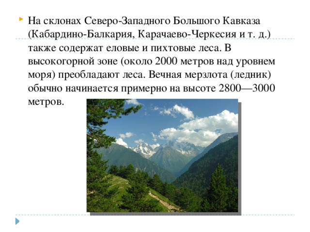 На склонах Северо-Западного Большого Кавказа (Кабардино-Балкария, Карачаево-Черкесия и т. д.) также содержат еловые и пихтовые леса. В высокогорной зоне (около 2000 метров над уровнем моря) преобладают леса. Вечная мерзлота (ледник) обычно начинается примерно на высоте 2800—3000 метров. 