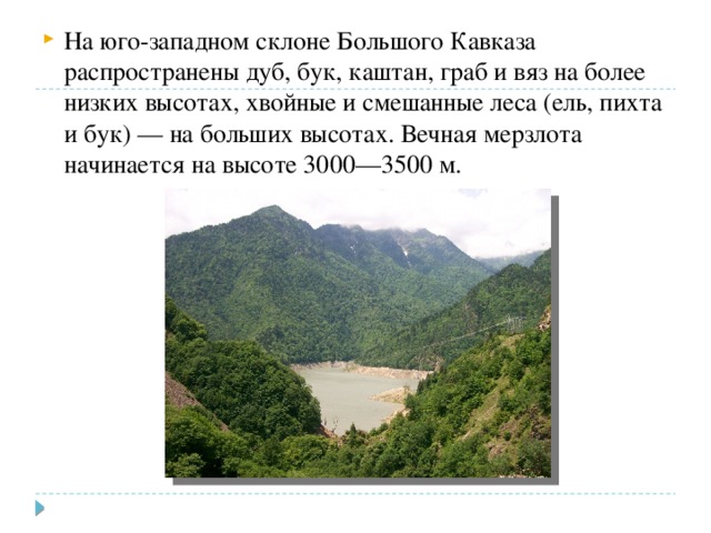 На юго-западном склоне Большого Кавказа распространены дуб, бук, каштан, граб и вяз на более низких высотах, хвойные и смешанные леса (ель, пихта и бук) — на больших высотах. Вечная мерзлота начинается на высоте 3000—3500 м. 