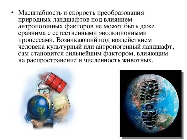 Распространение влияния. Преобразование природной живых организмов. Комбинированные природные преобразования. Влияние человека на распространение мышей. Какое значение имеет антропогенный фактор в современную эпоху.