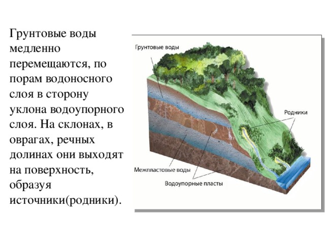 Грунтовые воды медленно перемещаются, по порам водоносного слоя в сторону уклона водоупорного слоя. На склонах, в оврагах, речных долинах они выходят на поверхность, образуя источники(родники). 