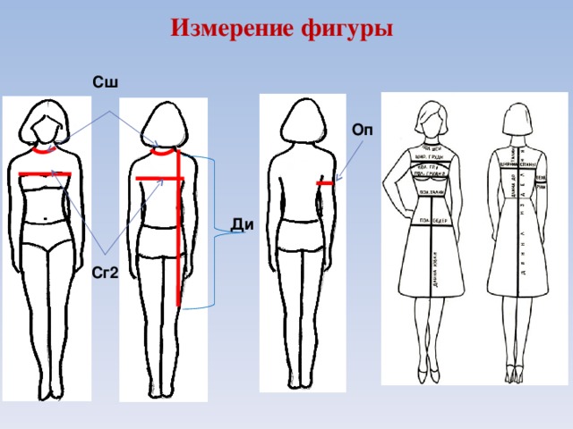 Измерение фигуры. Сг2 мерка. Измерение фигуры человека. Измерение фигурычеловнка. Снятие мерок для туники.