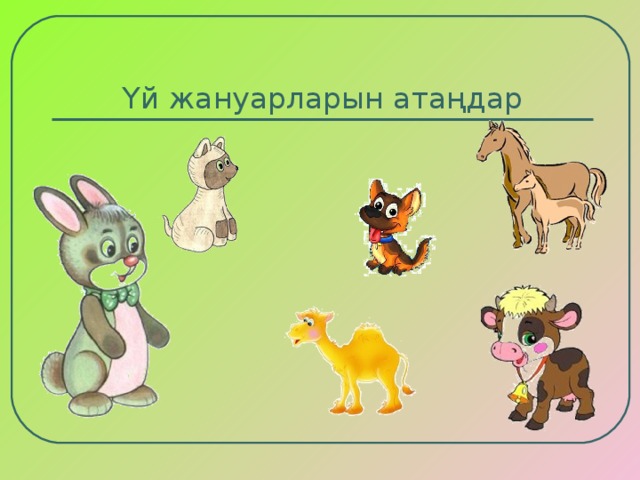 Үй жануарларын атаңдар 