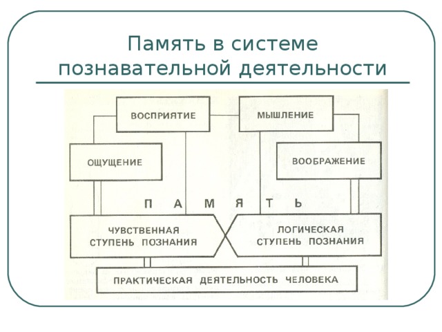 Память связь. Память в системе познавательной деятельности схема. Схема взаимосвязи основных процессов познавательной деятельности. Схема познавательная деятельность человека. Память и деятельность личности.