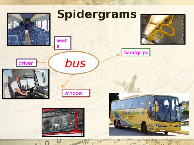 Spidergrams seats handgrips  bus driver window 