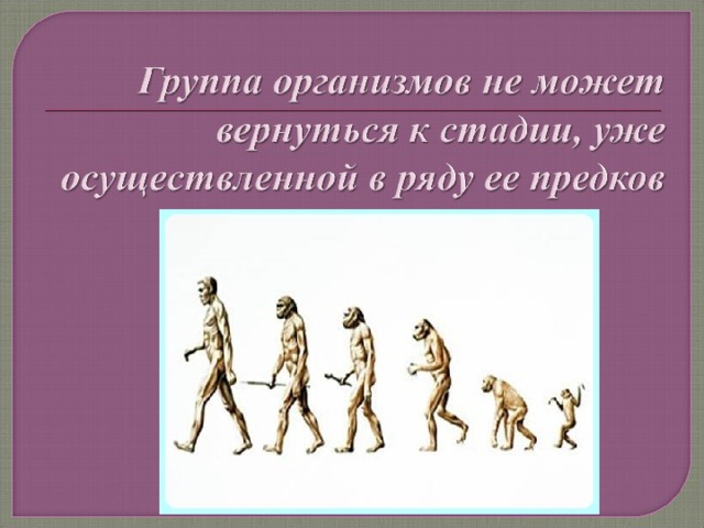 Ряд предков. Тиричилик Эволюциясы презентация. Роль биологических и социальных факторов в антропогенезе.