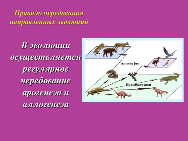 В эволюции осуществляется регулярное чередование арогенеза и аллогенеза