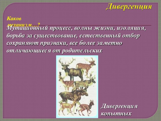 Современные представления о механизмах и закономерностях эволюции проект