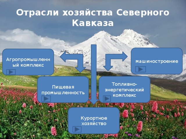 Отрасли хозяйства Северного Кавказа машиностроение Агропромышленный комплекс Пищевая промышленность Топливно-энергетический комплекс Курортное хозяйство 