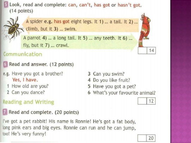 It s got a long tail. Английский язык look read and complete: can, can’t, has got or hasn't got. Look ,read and complete ответ. Can,can't has got 3 класс. Пушистые друзья английский язык 3 класс.