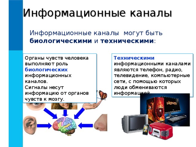 Информационные каналы Информационные каналы могут быть биологическими и техническими : Органы чувств человека выполняют роль биологических информационных каналов. Сигналы несут информацию от органов чувств к мозгу. Техническими  информационными каналами являются телефон, радио, телевидение, компьютерные сети, с помощью которых люди обмениваются информацией. 