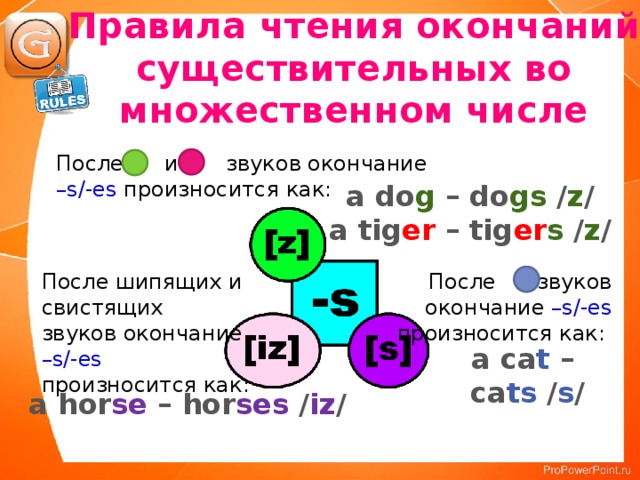 Окончание s в английском языке правила