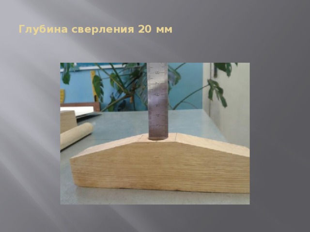 Проект совка по технологии 6 класс