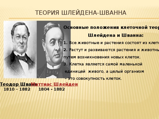 теория Шлейдена-Шванна   Основные положения клеточной теории  Шлейдена и Шванна: 1. Все животные и растения состоят из клеток. 2. Растут и развиваются растения и животные путем возникновения новых клеток. 3. Клетка является самой маленькой  единицей живого, а целый организм – это совокупность клеток. Маттиас  Шлейден  1804 - 1882 Теодор Шванн    1810 – 1882 