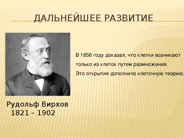 Дальнейшее развитие В 1858 году доказал, что клетки возникают только из клеток путем размножения. Это открытие дополнило клеточную теорию. Рудольф Вирхов  1821 – 1902 