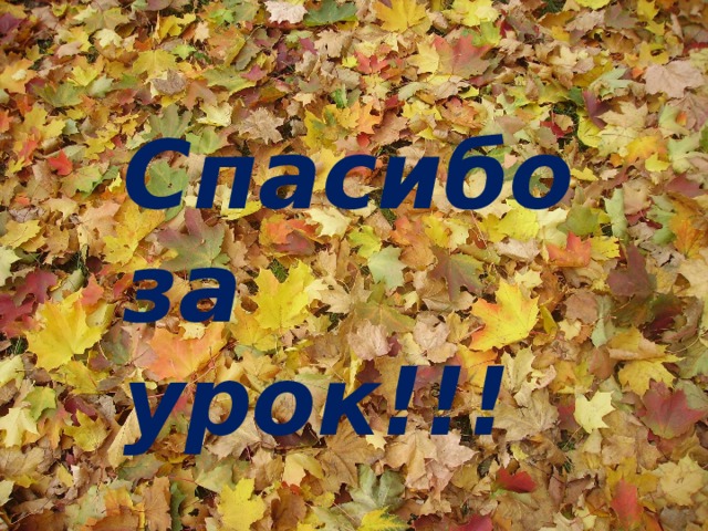 Спасибо за урок!!! 