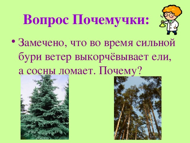 Вопрос Почемучки: