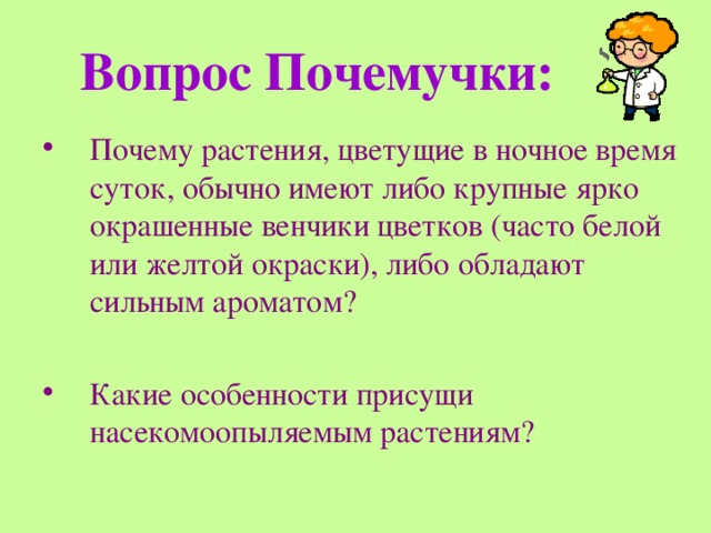 Вопрос Почемучки: