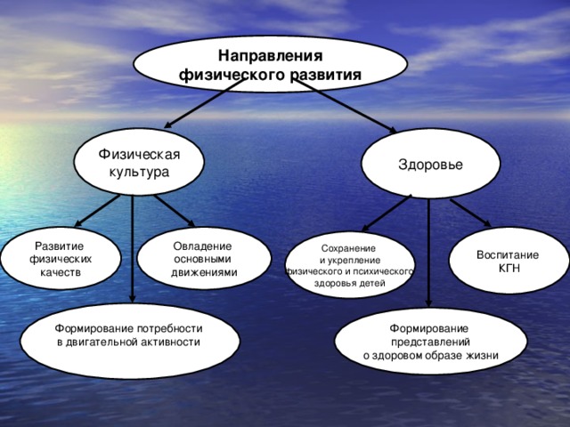 Основные направления в физической культуре