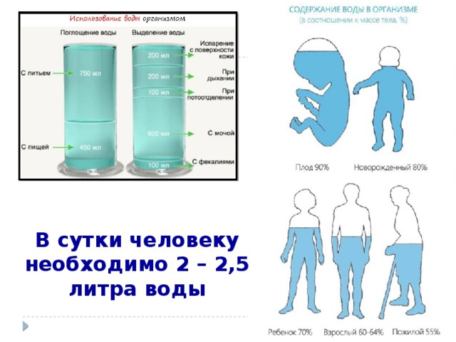 Два литра. Вода в сутки для человека. Количество жидкости в сутки человеку. 2 Литра воды в день. Выпивать 2 литра воды в день.