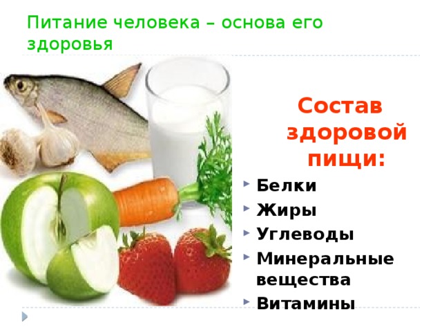 Питание человека – основа его здоровья Состав здоровой пищи: Белки Жиры Углеводы Минеральные вещества Витамины  