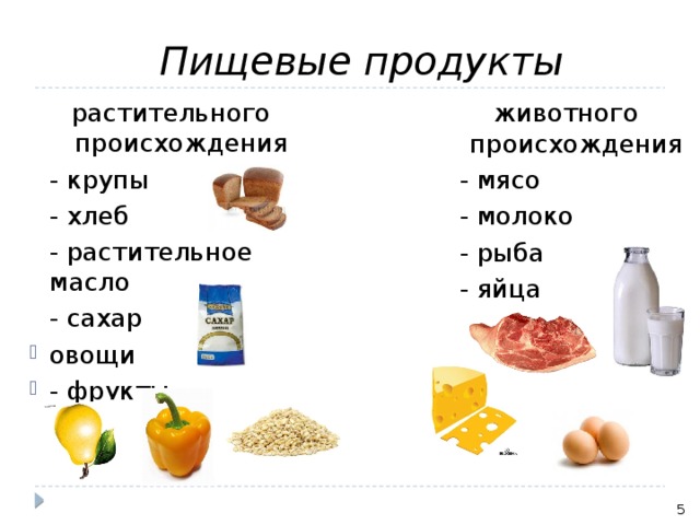 Пищевые продукты животного происхождения  - мясо растительного происхождения  - крупы   - молоко  - рыба  - хлеб  - яйца  - растительное масло  - сахар овощи - фрукты 5 