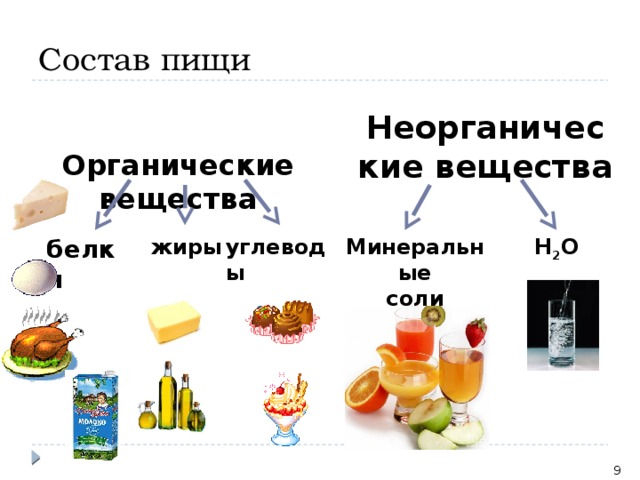 Продукт 9 класс