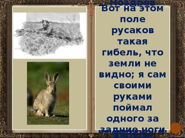 Русак толстой план. Русак в поле. Жанр произведения Русак. Иван Русак подвиг. Что такое Русак в литературе.