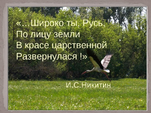 Роза львовна поднялась с кресел и царственной походкой направилась к двери