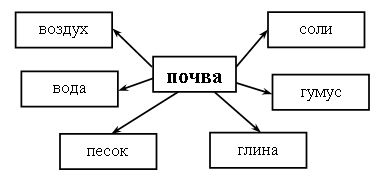 Схема значение почвы в природе и жизни людей