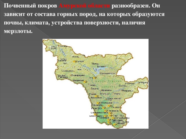 Социальная карта амурской области. Амурская область почвенные ресурсы. Почвы Амурской области 4 класс.