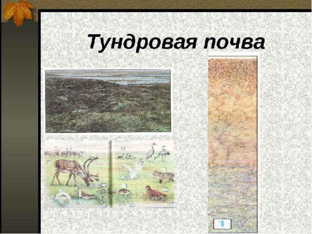 Земля кормилица 4 класс окружающий мир презентация школа россии презентация