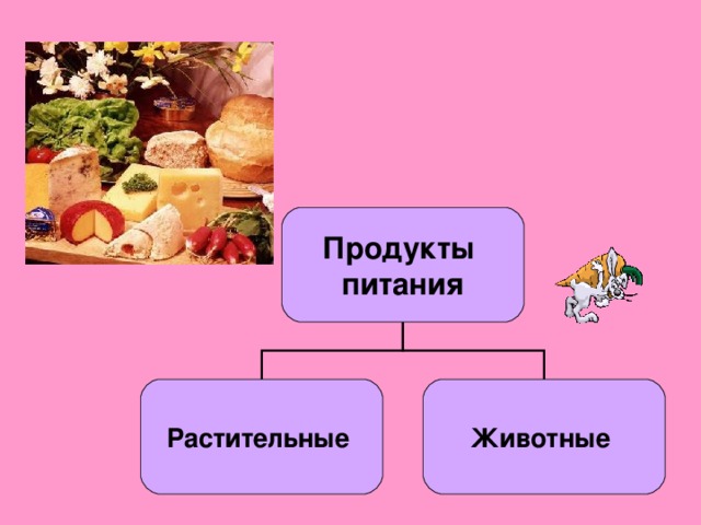 Виды продуктов питания