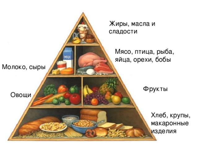 Жиры, масла и сладости Мясо, птица, рыба, яйца, орехи, бобы Молоко, сыры Фрукты Овощи Хлеб, крупы, макаронные изделия 