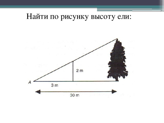 На рисунке изображены здание и стоящее рядом дерево высота