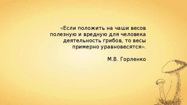 «Если положить на чаши весов полезную и вредную для человека деятельность грибов, то весы примерно уравновесятся». М.В. Горленко 