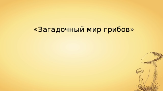 «Загадочный мир грибов» 