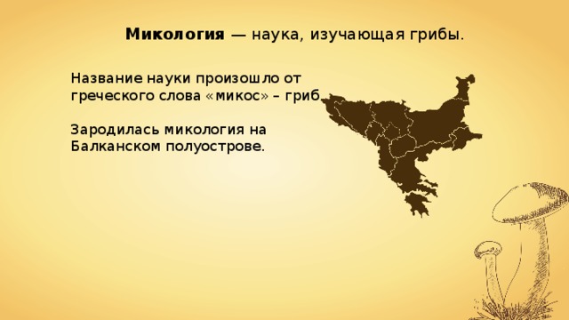 Микология — наука, изучающая грибы. Название науки произошло от греческого слова «микос» – гриб. Зародилась микология на Балканском полуострове. 