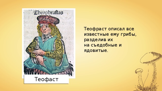 Теофраст описал все известные ему грибы, разделив их на съедобные и ядовитые. Теофаст 