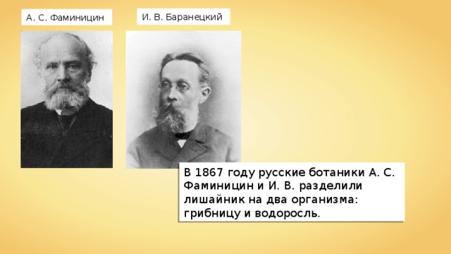 И. В. Баранецкий А. С. Фаминицин В 1867 году русские ботаники А. С. Фаминицин и И. В. разделили лишайник на два организма: грибницу и водоросль. 