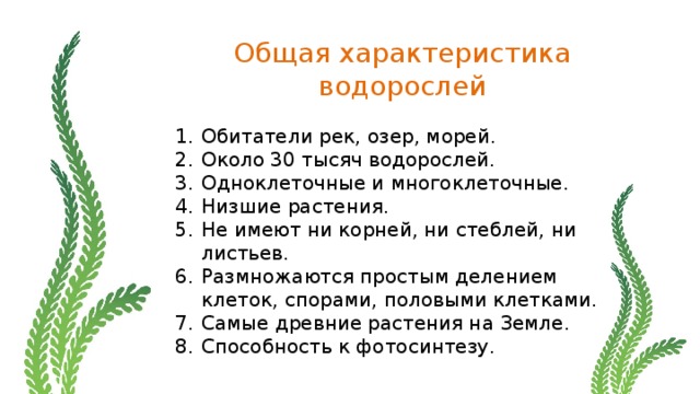 Характеристики растений биология 7 класс