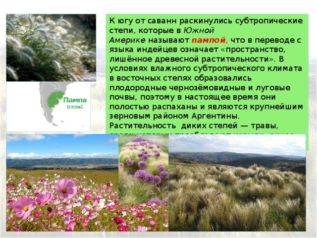 Презентация природные зоны южной америки 7 класс презентация