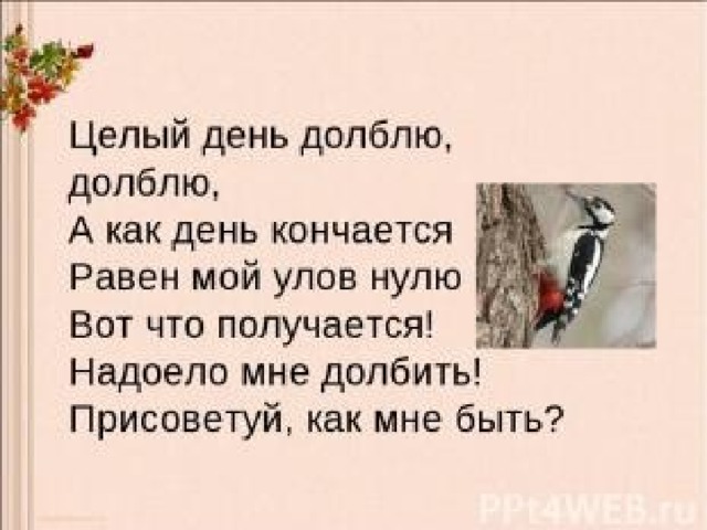 Целый день текст. Целый день долблю долблю а как день кончается равен мой улов нулю. Целый день долблю долблю а как день кончается равен. Михалков целый день долблю долблю. Классный ставчик я долблю.