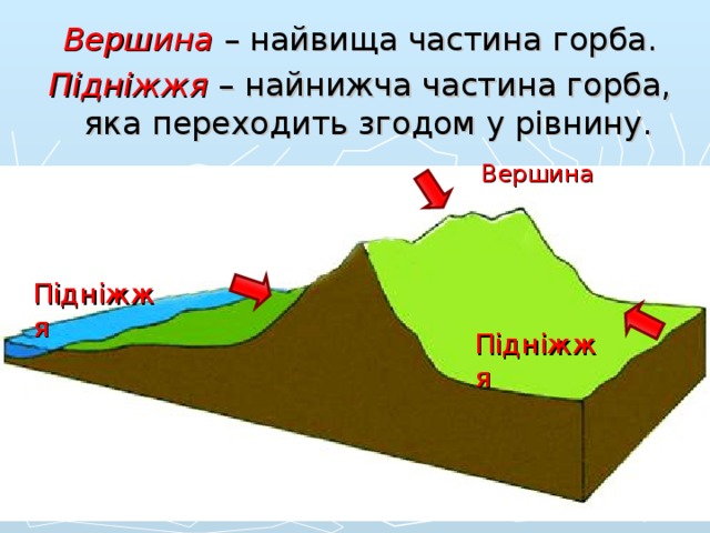   Вершина – найвища частина горба.    Підніжжя – найнижча частина горба, яка переходить згодом у рівнину.  Вершина  Підніжжя  Підніжжя   