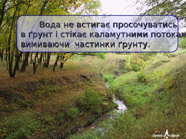  Вода не встигає просочуватись  в ґрунт і стікає каламутними потоками,  вимиваючи частинки ґрунту.  