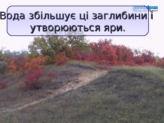 Вода збільшує ці заглибини і  утворюються яри.  